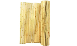 ����� ����