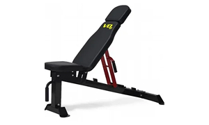 ���� ����