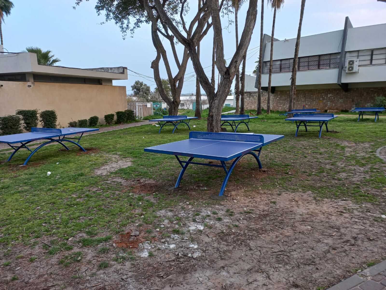 שולחן טניס SCHOOL שחור