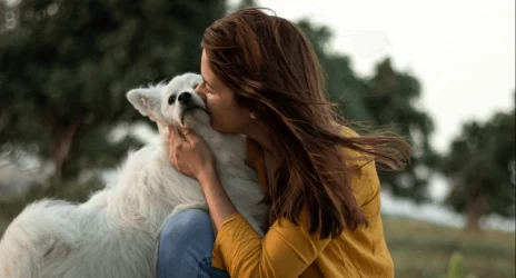 איך קורונה משפיעה על הכלבים שלנו ?
