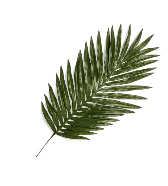 leaf